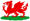Der rote Drache von Wales